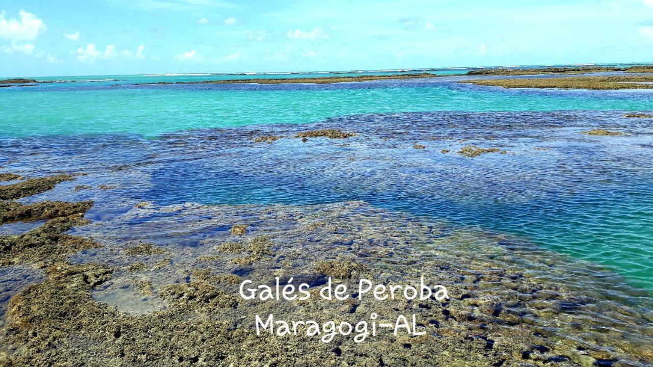 Parque Dos Coqueiros- Bangalos E Suites マラゴージ エクステリア 写真